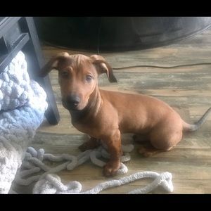 Meet your Posher, Ian